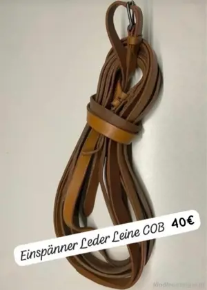 1.Stück Fahrleine Bild 5
