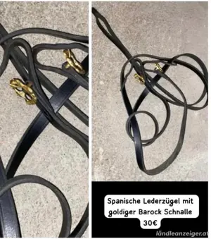 Lederzügel Bild 5