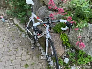 pinarello Rennrad Carbon RH57 Bild 5