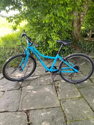 Fahrrad Naloo Chameleon MK24"
