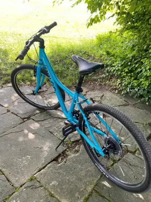 Fahrrad Naloo Chameleon MK24" Bild 2