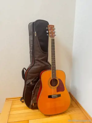 Ibanez Gitarre inkl. Gitarrentasche