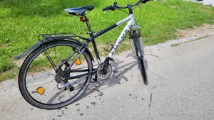 Fahrrad Focus 28Zoll Bild 2