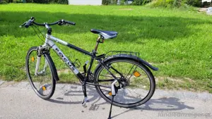 Fahrrad Focus 28Zoll Bild 5