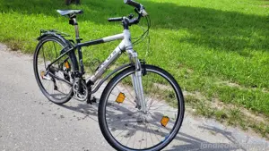 Fahrrad Focus 28Zoll Bild 3