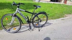 Fahrrad Focus 28Zoll Bild 4