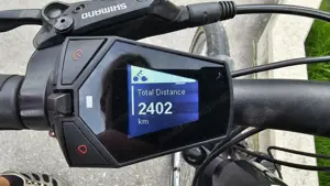 BMW Elektro Herren Rad