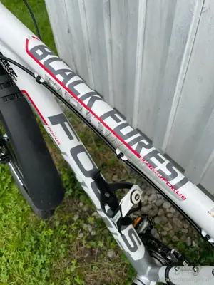 Focus Limited Black Forest Bild 3