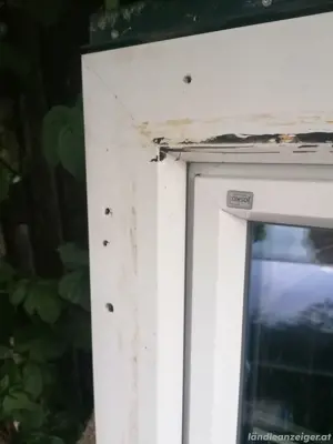 Fenster Tür  Bild 6