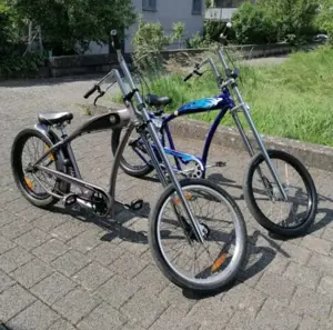 Beachcruiser Bild 2