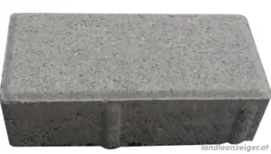 Pflaster Grau 20 cm x 10 cm x 6 cm