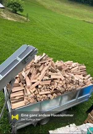 Brennholz 