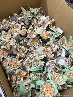 Anzünder 100stk Paket