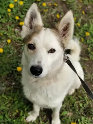Hallo, ich bin Bella! Bild 2