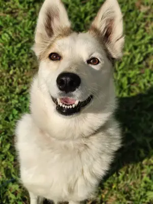 Hallo, ich bin Bella!