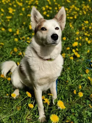 Hallo, ich bin Bella! Bild 8