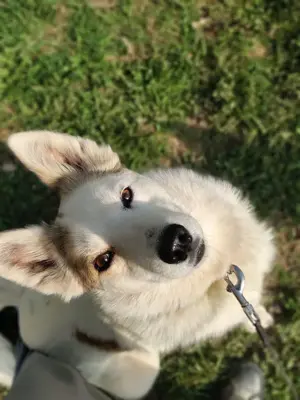 Hallo, ich bin Bella! Bild 3