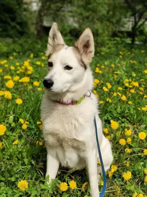 Hallo, ich bin Bella! Bild 7