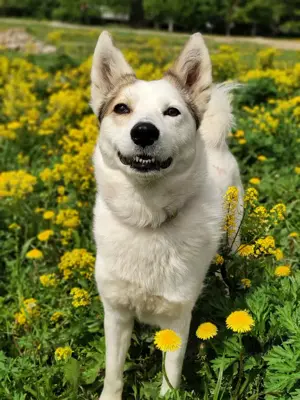 Hallo, ich bin Bella! Bild 5