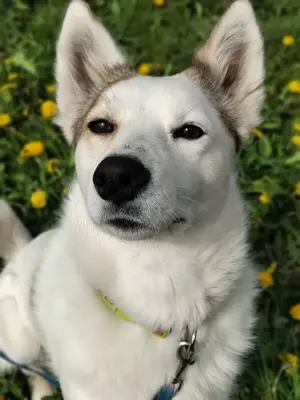 Hallo, ich bin Bella! Bild 4