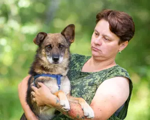 Kleiner Familienhund Patrick sucht ein Zuhause. Bild 6