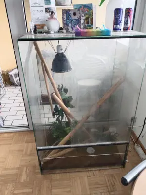 Terrarium gratis