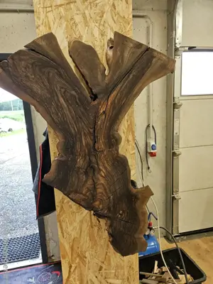 Wandbild Nuss "Engl "