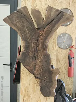 Wandbild Nuss "Engl " Bild 2