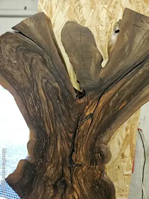 Wandbild Nuss "Engl " Bild 4