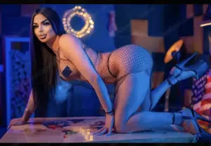 Trans Xl Trans gulia Bild 4