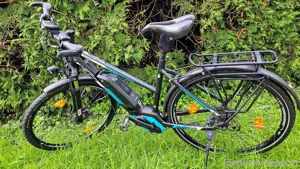 Herren oder Damen E-bike Bild 3