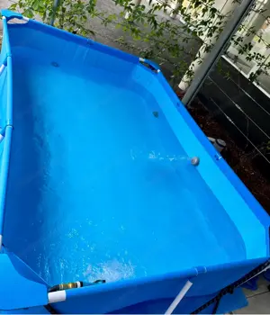 Intex Pool WIE NEU!  Bild 2