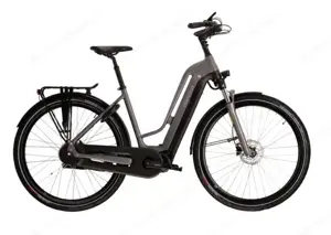 eBike Multicycle Bild 2