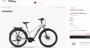 E-Trekkingbike Raymon