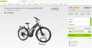 eTrekking Bike Raymon