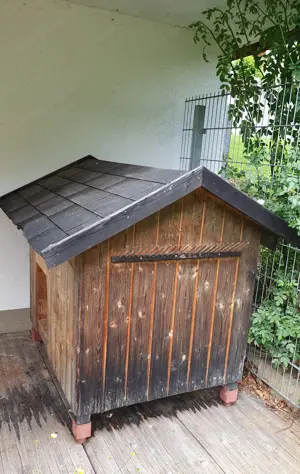 Hundehütte 