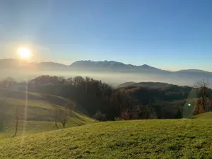 Paar oder Familie gesucht für Doppelhaus in Fraxern  Bild 3