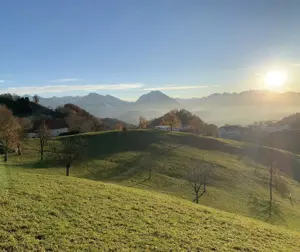 Paar oder Familie gesucht für Doppelhaus in Fraxern  Bild 2