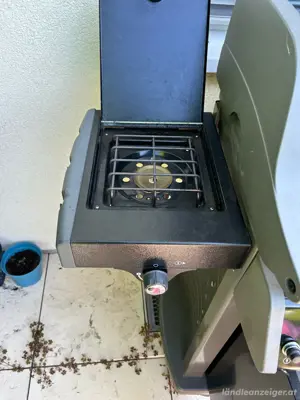 Weber Gasgrill Spirit Bild 2
