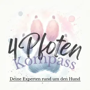 4PfotenKompass - Hundetraining das verändert