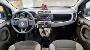 Fiat Panda Bild 15