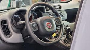 Fiat Panda Bild 16