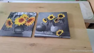 2x Bilder Größe 30 30 zu verkaufen 