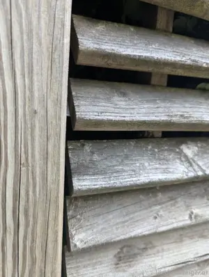 Sichtschutz Zaun Wand 9,5 m Meter Holz Bild 2