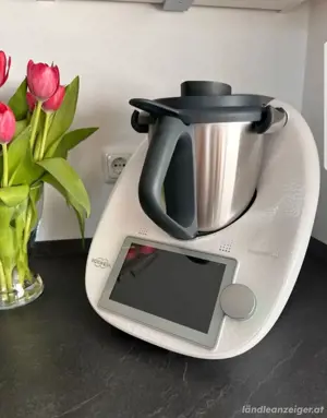 Thermomix TM6 Limited Edition Snow +  Friend