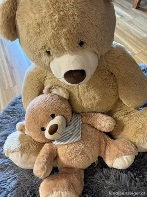 Großer und kleiner Teddybär
