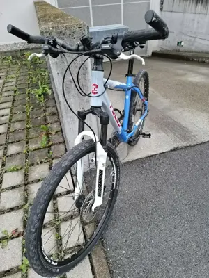 Focus Mountainbike 