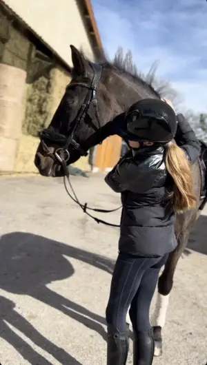 Reitbeteiligung gesucht für top ausgebildetes,zuverlässiges Pferd Bild 2