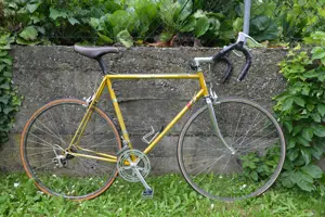 Simplon 5 Stern Rennrad Bild 2