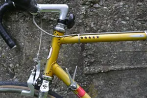 Simplon 5 Stern Rennrad Bild 3